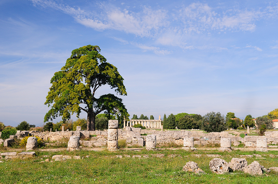 italy-paestum-2009-001